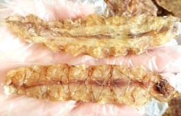 Khô tôm tích (bề bề)